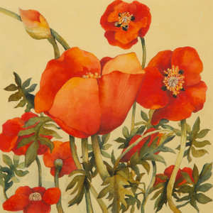 Appraisal: Artist Unknown th Century Poppies watercolor x inches Property from