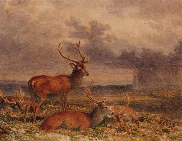 Appraisal: ROBERT HILLS - Deer in a landscape watercolour x cm