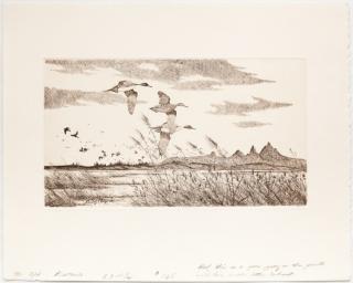 Appraisal: David Hagerbaumer - Seven Artist Proof Etchings Pair of Woodcock