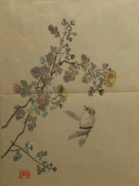 Appraisal: After Nishiyama Kanei - Bird and Yellow Blossom book illustration