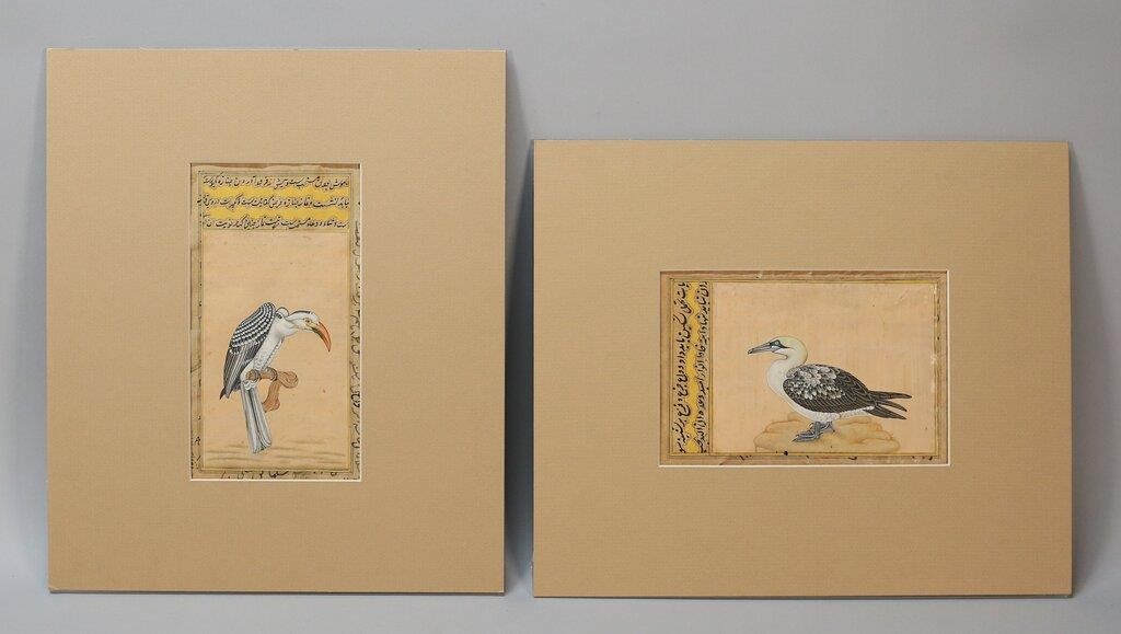 Appraisal: TWO PERSIAN BIRDS ILLUMINATED MANUSCRIPT PAGESTwo Persian illuminated manuscript pages