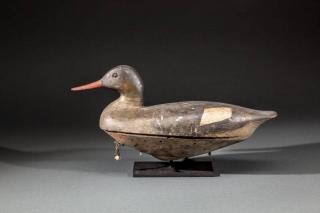 Appraisal: Merganser Hen The Huff Brothers Charles H - and George