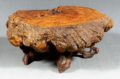 Appraisal: Large burlwood table slab cut burl probably cherry th century