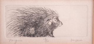 Appraisal: Ann DerGara Etching of Porcupine Ann DerGara American - unframed