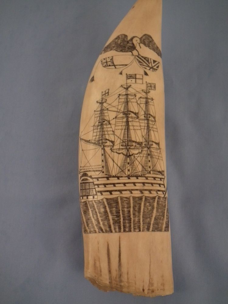 Appraisal: SCRIMSHAW WHALE TOOTH Large scrimshaw whale tooth with British warship