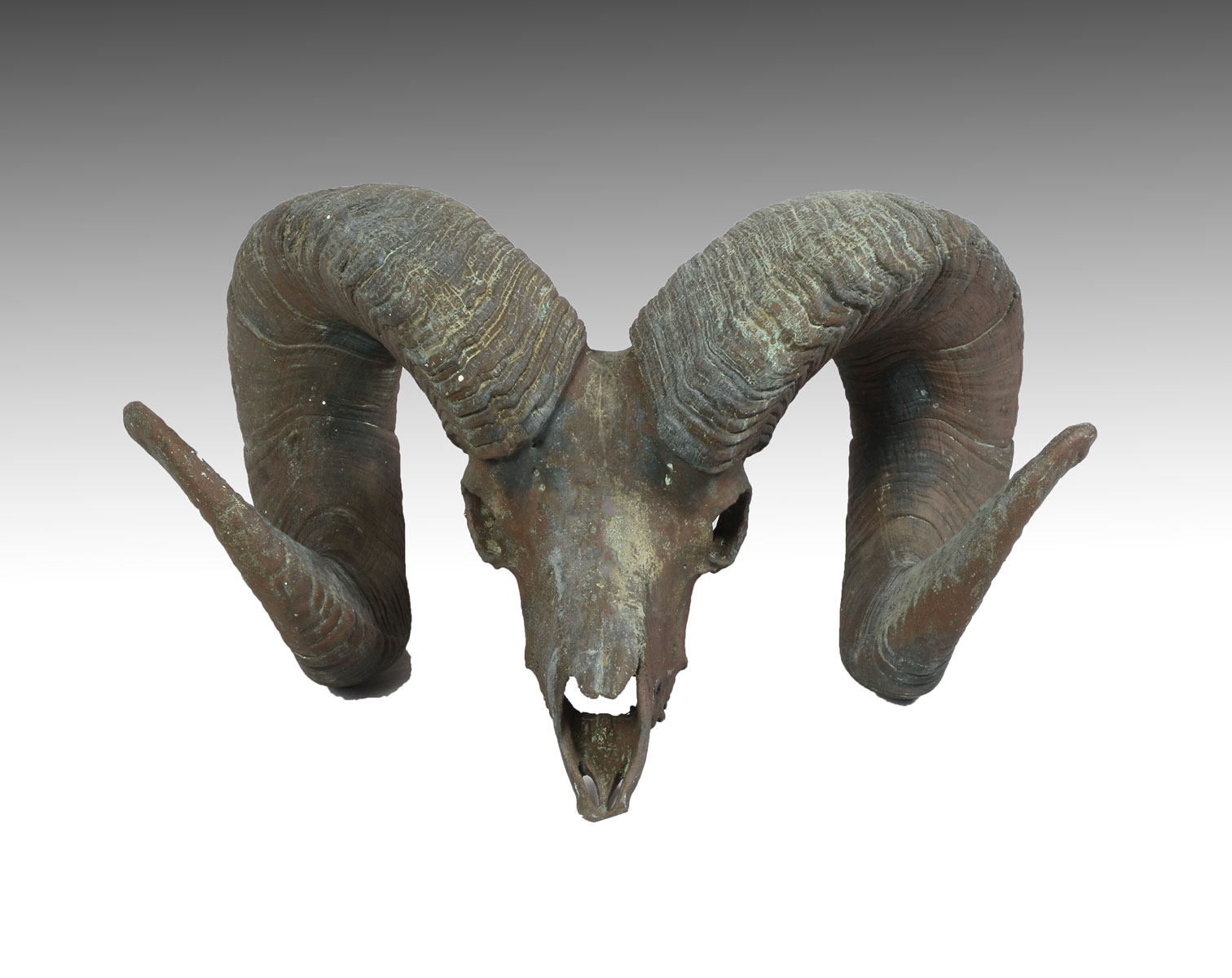 Appraisal: CAST BRONZE RAM'S HORN SKULL Cast bronze sculpture in the