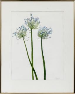 Appraisal: G SCHNEIDER WATERCOLOR G SCHNEIDER FLEMISH WATERCOLOR BLUE FLOWERS Pencil