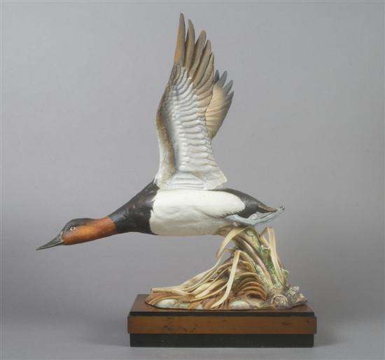 Appraisal: A Royal Worcester Bird Canvas Back Duck Height inches