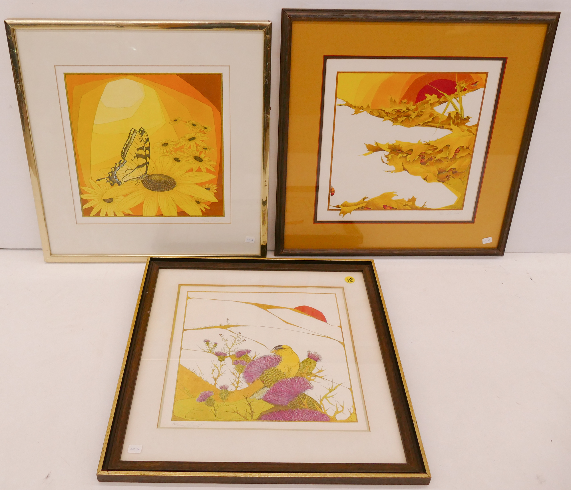 Appraisal: pc Peter Kommer Parnall S N Bird Insect Lithographs Framed-