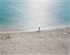 Appraisal: RICHARD MISRACH On the Beach A spectacular title illustrated with