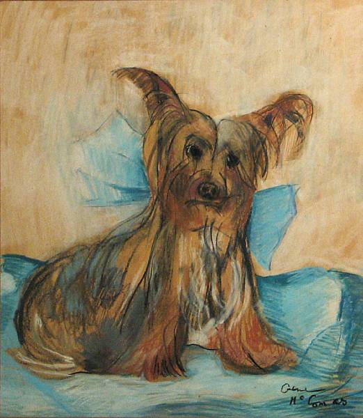 Appraisal: Gene Francis McComas American - Yorkshire Terrier signed 'Gene McComas'