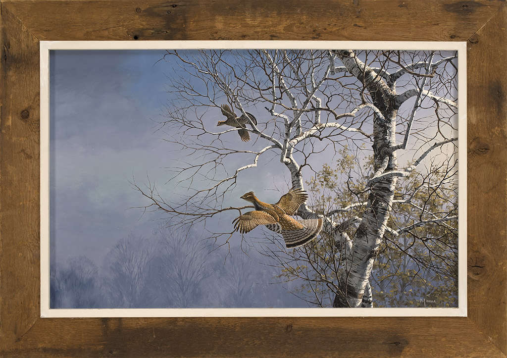 Appraisal: DAVID MAASSAmerican b Ruffed grouse in flight among birch trees