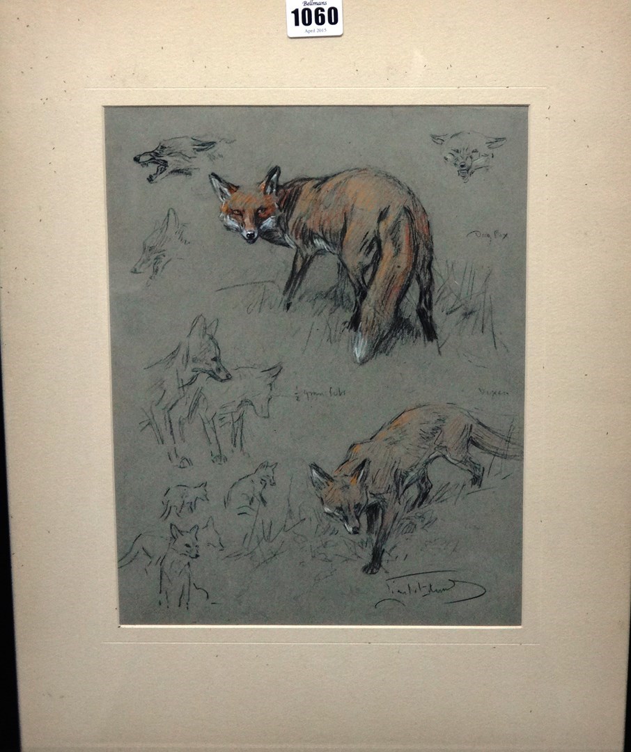 Appraisal: Lionel Dalhousie Robertson Edwards - Dog fox and vixen pencil