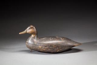 Appraisal: Black Duck by Harry V Shourds Black DuckHarry V Shourds