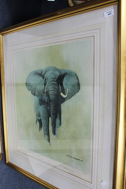 Appraisal: TWO SIGNED LIMITED EDITION ELEPHANT PRINTS by David Shepherd together