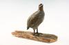 Appraisal: FIGURE - Ca large standing partridge cold painted Austrian bronze