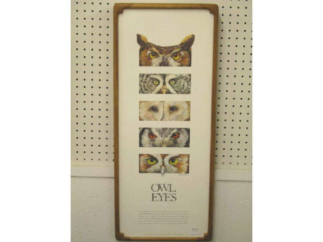 Appraisal: Owl Lithograph Owl Eyes