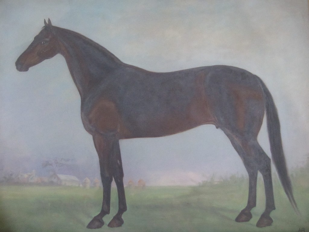 Appraisal: J S B HORSE PORTRAIT Oil on canvas monogrammed and