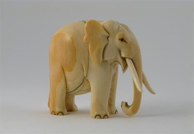 Appraisal: A Chinese ivory carving of a standing elephant with beady