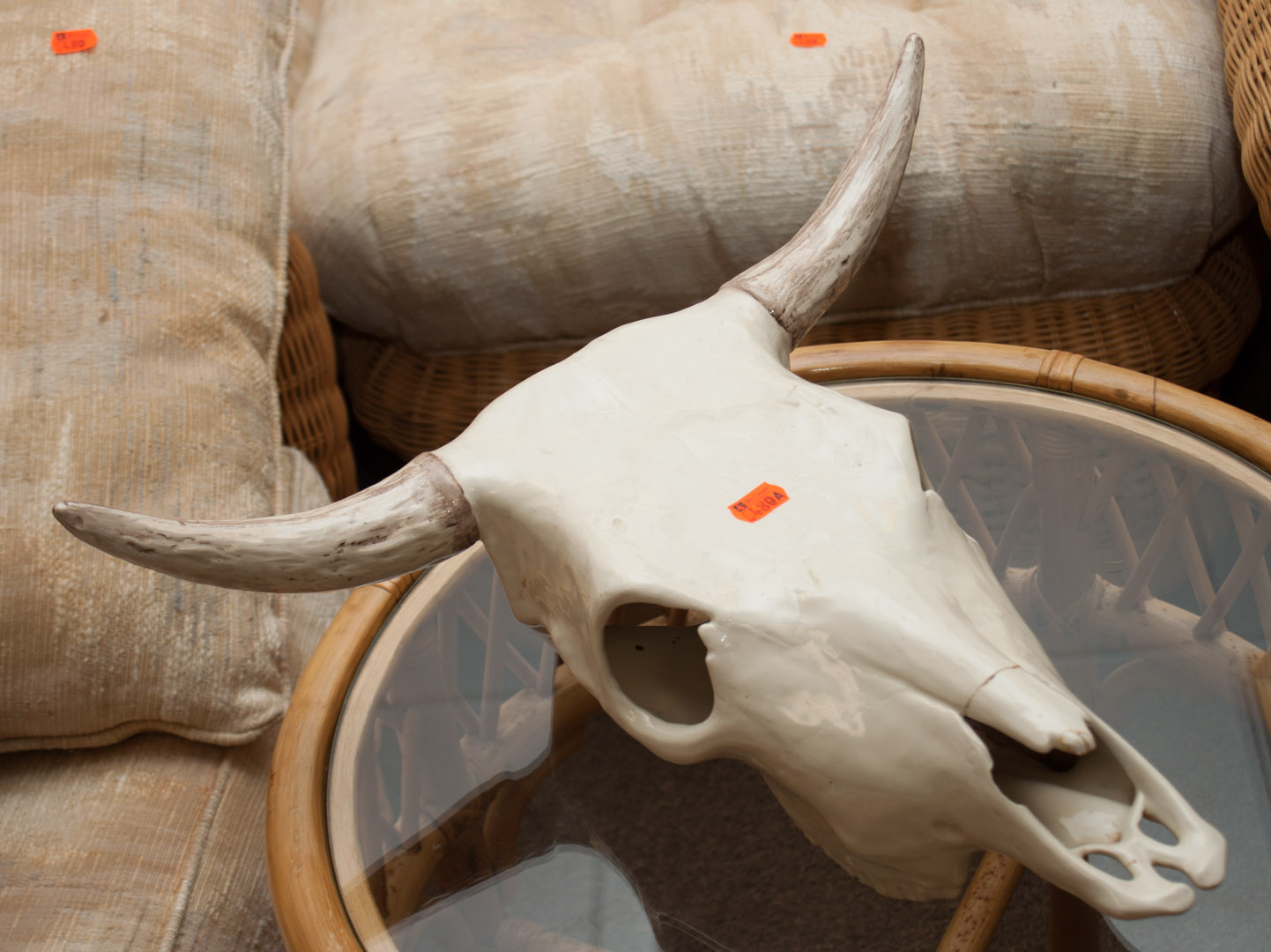 Appraisal: a Porcelain cow skull as is Undernumber a