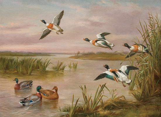 Appraisal: EDGAR HUNT British - Mallard and Sheldrake oil on canvas