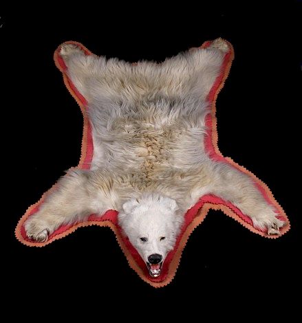 Appraisal: Rare Albino Black Bear Full Body Taxidermy Offered for bidding