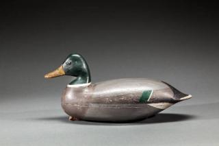 Appraisal: Mallard Drake Harry V Shourds - Tuckerton NJc A hollow