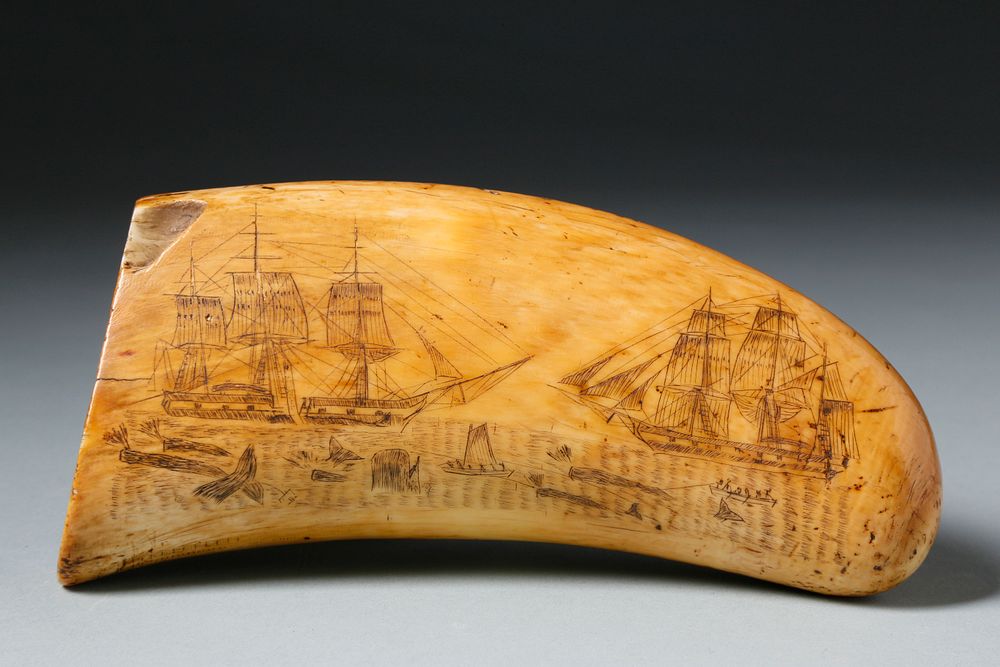 Appraisal: Scrimshaw Sperm Whale Tooth circa Scrimshaw Sperm Whale Tooth circa