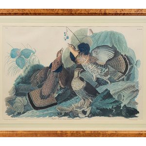 Appraisal: After John James Audubon American - Ruffed Grouse Plate XLI