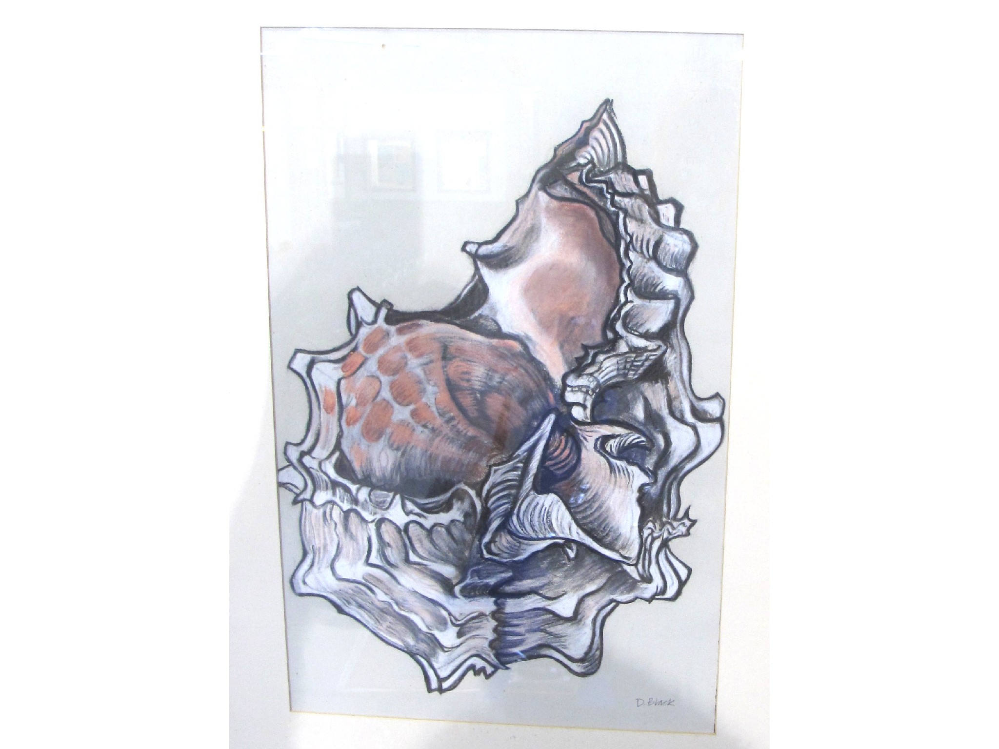 Appraisal: DOROTHY BLACK Seashell signed pastel and charcoal