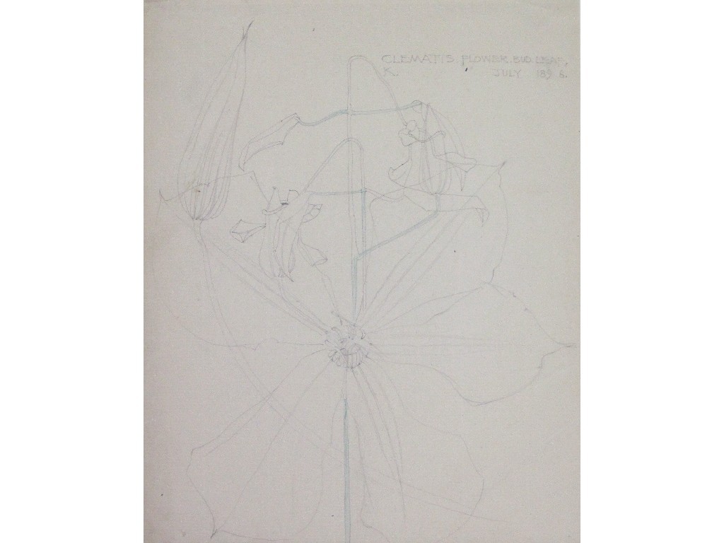 Appraisal: CHARLES RENNIE MACKINTOSH - CLEMATIS LEAF AND BUD Pencil drawing