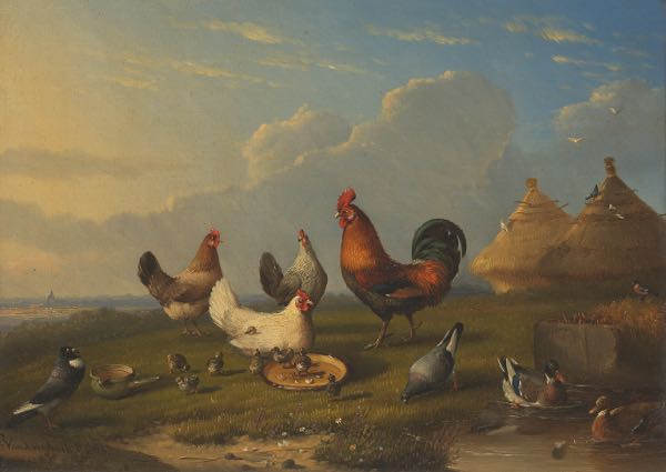 Appraisal: FRANCOIS VANDEVERDONCK BELGIAN DUTCH - x Chickens roosters ducks and