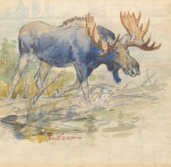 Appraisal: Philip Russell Goodwin American - x sight Moose in Landscape