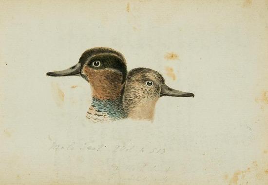 Appraisal: BEWICK Thomas - History of British Birds Volumes I II