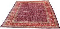 Appraisal: A Sarouk Carpet Overall Herati pattern over ink blue center-field