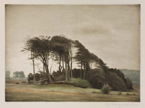 Appraisal: PETER ILSTED Landscape from Fredensborg Color mezzotint x mm x