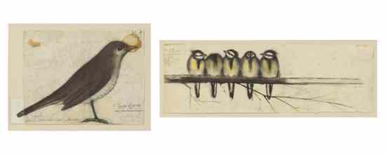 Appraisal: Artist Unknown th century Bird Studies two works mixed media