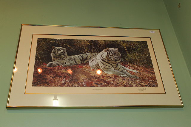 Appraisal: ANTHONY GIBBS 'WHITE TIGERS EVER WATCHFUL' limited edition print cm