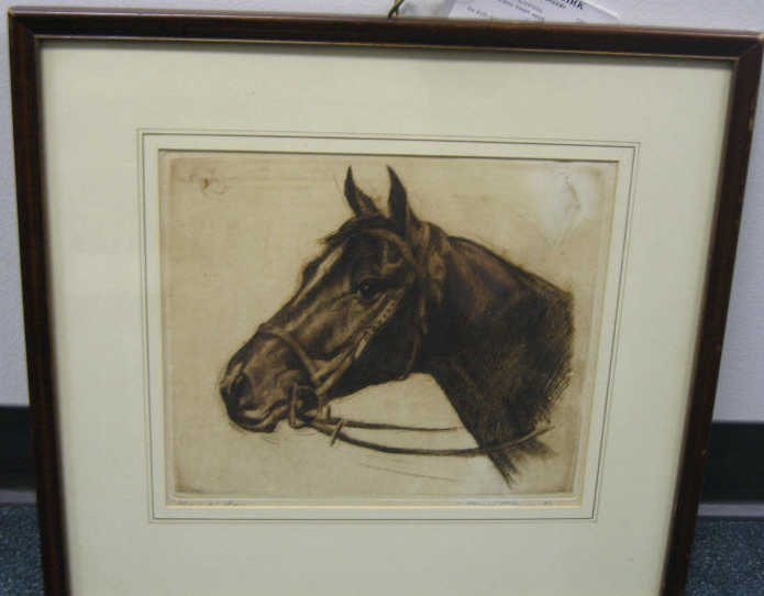 Appraisal: JOSEF PIERRE NUYTTENS AMERICAN - MAN-O'-WAR portrait of a horse