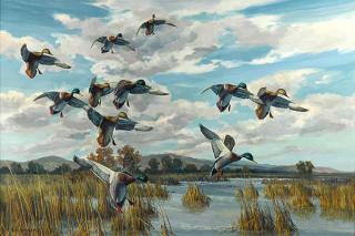 Appraisal: Painting Rod Serbousek Rod Serbousek American b Mallards on the