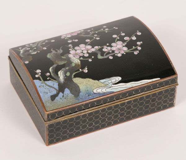 Appraisal: Japanese cloisonne box with silver lining hinged floral decorated lid