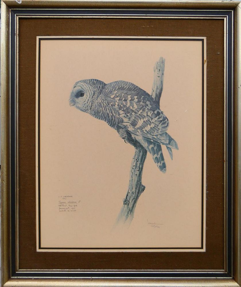 Appraisal: J F LANSDOWNE NUMBERED PRINT OF A OWL Measures X