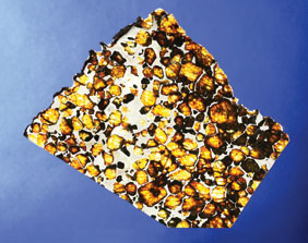 Appraisal: IMILAC BEDAZZLING PARTIAL SLICE PAL - Pallasite Atacama Desert Chile