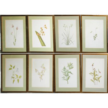 Appraisal: Artist Unknown PLANT STUDIES Eight color photoreproductions Estimate -