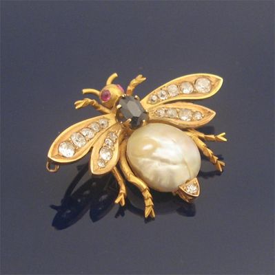 Appraisal: A nineteenth century insect brooch the body formed with a