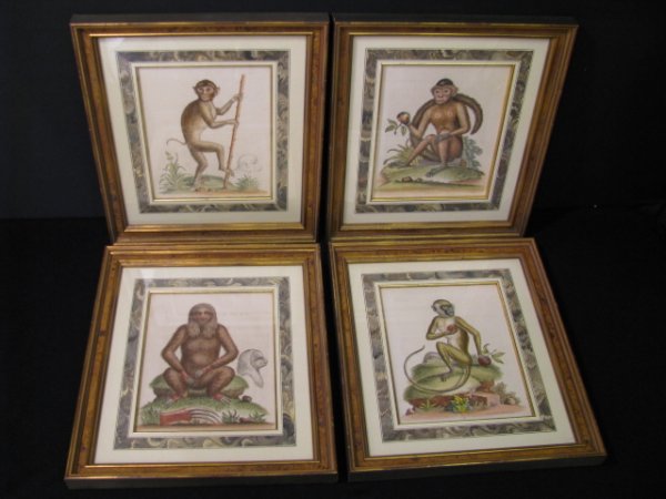 Appraisal: th century hand colored numbered lithographs of monkeys drawn from