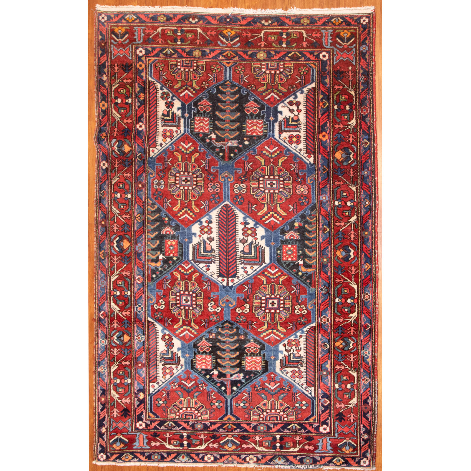 Appraisal: HAMADAN RUG PERSIA X Third quarter- th century hand-knotted wool