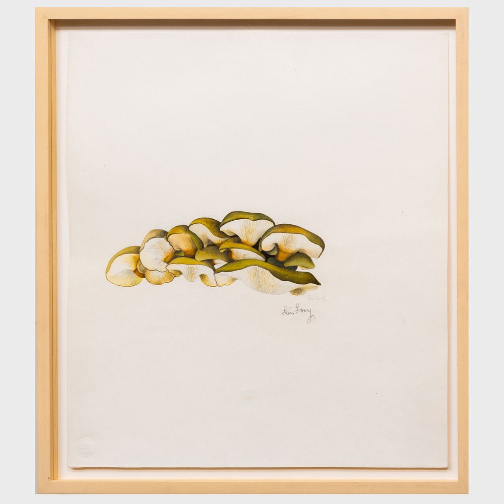 Appraisal: Lois Long - Panellus Serotinus and Asparagus Two pencil and