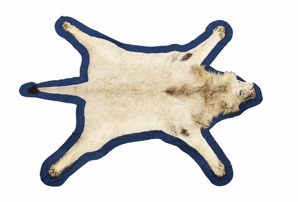 Appraisal: LION SKIN RUG EARLY TH CENTURY full head pelt on