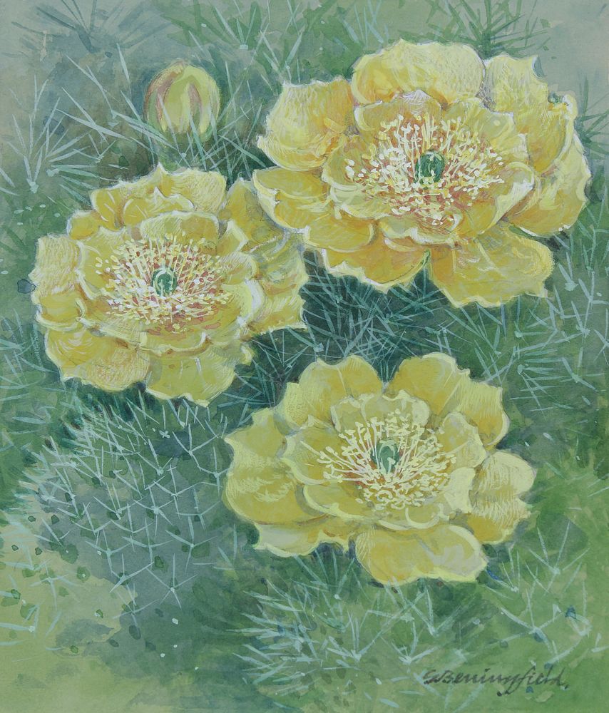 Appraisal: Gordon Beningfield - Prickly Pear W C Gordon Beningfield British